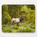 Search for bull elk mousepads Antlers