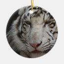 Search for bengal cat christmas tree decorations Wildlife