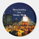 Search for chicago magnets Cityscape