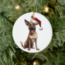 Search for belgian malinois funny home living Pet