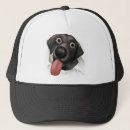 Search for black labrador hats Labs