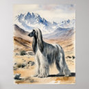 Search for afghan hound art Canine