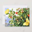 Search for fruit painting postcards Tropical