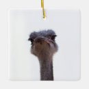 Search for ostrich christmas tree decorations Portrait