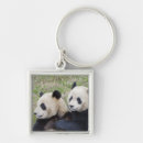 Search for china panda key rings Fauna