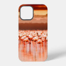 Search for kenya iphone cases Sunset