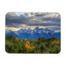 Search for the hole kitchen accessories Landscape