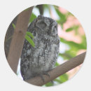 Search for owl tree stickers Owls