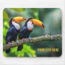 Search for toucan gifts Vacation