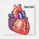 Search for humane magnets Heart