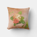 Search for soft peach cushions Nature