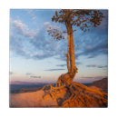 Search for atmospheric tiles Nature