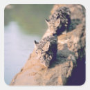 Search for leopard cub stickers Animal