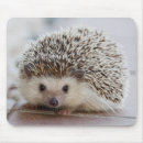 Search for hedgehog mousepads Rodent