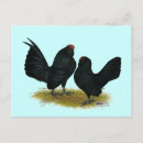 Search for bantam postcards Fowl