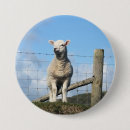 Search for cute sheep badges Lamb