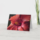 Search for eternity cards Red