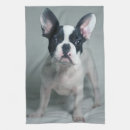 Search for french bulldog tea towels Animal