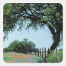 Search for paintbrush stickers Texas