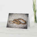 Search for black snake cards Wildlife