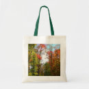Search for fall tree bags Forest