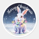 Search for snow bunny stickers Merry christmas