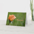Search for expression photography Rose