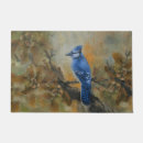 Search for bluejay Nature