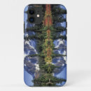 Search for mirrored cases Landscape