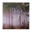 Search for pine tree tiles Forest