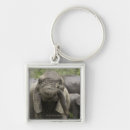 Search for elephant trunks key rings Nature