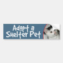 Search for black and white cat bumper stickers Adopt