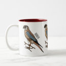 Search for kestrels mugs Falcon