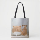 Search for plush bags Pet