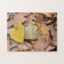 Search for autumn puzzles Leaves