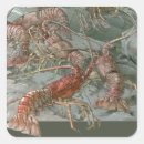 Search for lobster stickers Crayfish