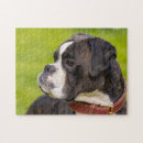Search for boxer puzzles Animal