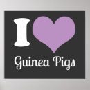 Search for guinea pig art Pigs