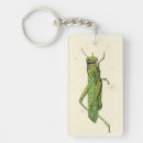 Search for grasshopper key rings Green