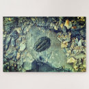 Search for fossil puzzles Rocks