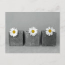 Search for blumen postcards Postkarte