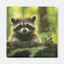 Search for peek a magnets Racoon