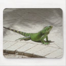 Search for iguana mousepads Nature