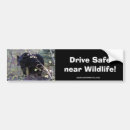 Search for black and white photo bumper stickers Nature