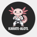 Search for karate lovers stickers Judo
