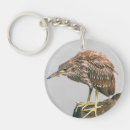 Search for juvenile key rings Wildlife