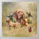Search for vizsla posters Hunting dog