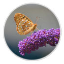 Search for butterfly drawer knobs and pulls Insect