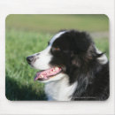 Search for bordered image mousepads Puppy