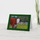 Search for steer cards Animal
